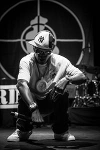 2015-06-30 - Public Enemy från Trädgår'n, Göteborg