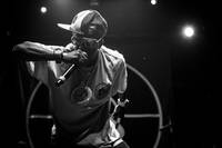 2015-06-30 - Public Enemy från Trädgår'n, Göteborg