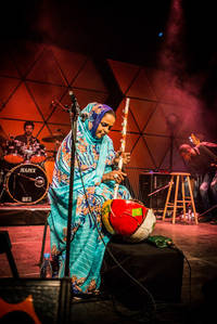 2015-07-01 - Noura Mint Seymali från Roskildefestivalen, Roskilde