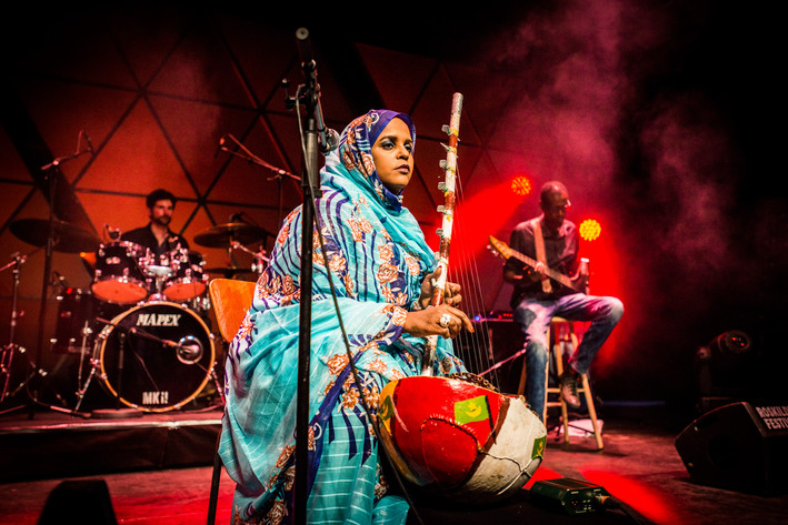 2015-07-01 - Noura Mint Seymali från Roskildefestivalen, Roskilde