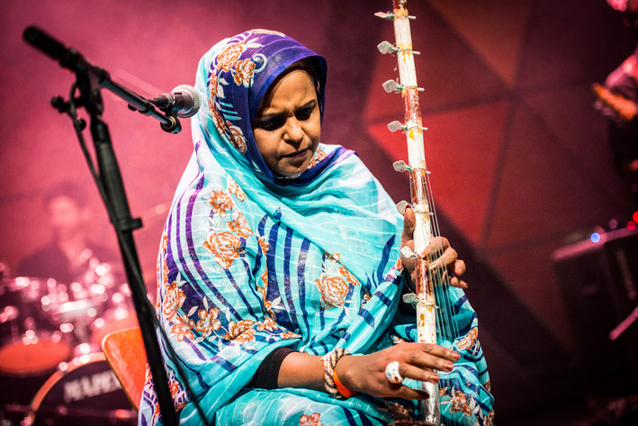 2015-07-01 - Noura Mint Seymali från Roskildefestivalen, Roskilde