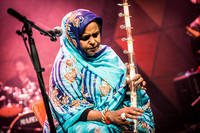 2015-07-01 - Noura Mint Seymali från Roskildefestivalen, Roskilde