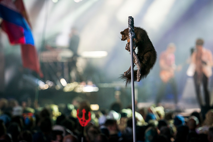2015-07-01 - Områdesbilder från Roskildefestivalen, Roskilde 2015-07-01 - Områdesbilder från Roskildefestivalen, Roskilde