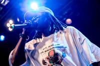 2015-07-01 - Public Enemy från Debaser Medis, Stockholm