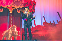 2015-07-04 - Carl-Einar Häckner från Liseberg, Göteborg