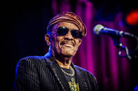 2015-07-28 - Roy Ayers från Fasching, Stockholm