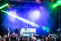 2015-07-31 - Sharks från Storsjöyran, Östersund