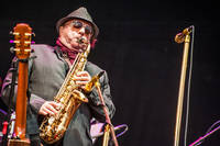 2015-08-02 - Van Morrison från Stockholm Music & Arts, Stockholm