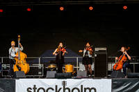 2015-08-07 - Laura Cortese & The Dans Cards från Stockholm Folk Festival, Stockholm