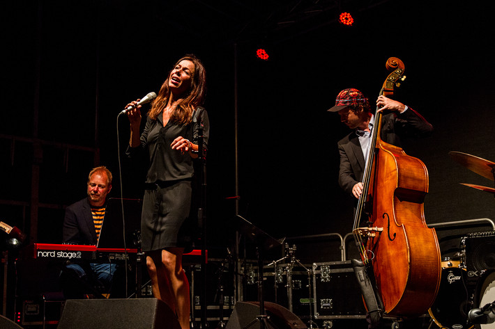 2015-08-07 - Rigmor Gustavsson från Stockholm Folk Festival, Stockholm
