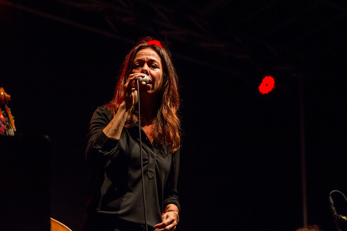 2015-08-07 - Rigmor Gustavsson från Stockholm Folk Festival, Stockholm