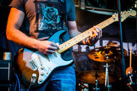 2015-08-08 - Hedgehog tea från Karl Oskar-dagarna, Växjö