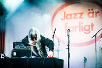 2015-08-12 - Keiji Haino från Liseberg, Göteborg