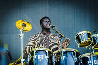 2015-08-14 - Angélique Kidjo från Way Out West, Göteborg