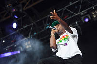 2015-08-14 - Tyler, The Creator från Way Out West, Göteborg
