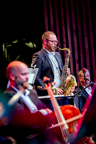 2015-08-14 - Anna Sise från Liseberg, Göteborg