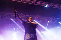 2015-08-15 - Run the Jewels från Way Out West, Göteborg