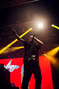 2015-08-15 - Run the Jewels från Way Out West, Göteborg