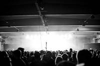2015-08-15 - Tove Styrke från Way Out West, Göteborg