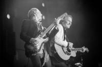 2015-08-28 - Tomas Ledin från Liseberg, Göteborg