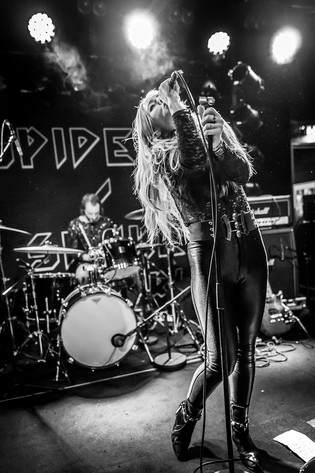 2016-04-08 - Spiders från Umeå Open, Umeå