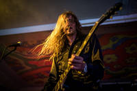 2016-06-05 - Lonley kamel från Muskelrock, Alvesta