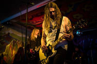2016-06-05 - Lonley kamel från Muskelrock, Alvesta