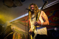 2016-06-05 - Lonley kamel från Muskelrock, Alvesta