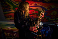 2016-06-05 - Lonley kamel från Muskelrock, Alvesta