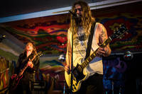 2016-06-05 - Lonley kamel från Muskelrock, Alvesta