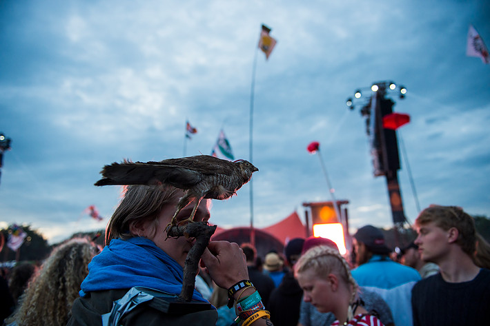 2016-06-29 - Områdesbilder från Roskildefestivalen, Roskilde 2016-06-29 - Områdesbilder från Roskildefestivalen, Roskilde