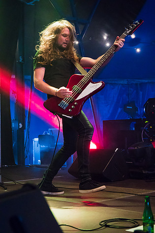 2016-06-30 - Tired Lion från Bråvalla, Norrköping