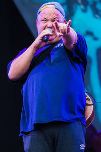 2016-07-01 - Tenacious D från Bråvalla, Norrköping