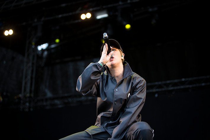 2016-07-02 - Elliphant från Bråvalla, Norrköping