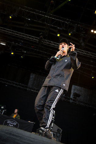 2016-07-02 - Elliphant från Bråvalla, Norrköping