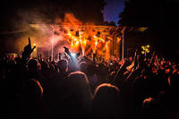 2016-07-09 - Nause från Peace & Love, Borlänge