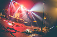 2016-08-11 - Fidlar från Way Out West, Göteborg