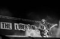 2016-08-12 - The Libertines från Way Out West, Göteborg