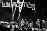 2016-08-12 - The Libertines från Way Out West, Göteborg