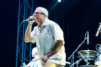 2016-08-13 - Descendents från Way Out West, Göteborg