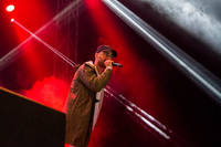 2016-08-13 - Parham från Way Out West, Göteborg