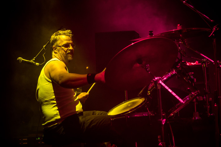2016-08-13 - Zebrakings från Karl Oskar-dagarna, Växjö