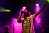 2016-08-13 - Zebrakings från Karl Oskar-dagarna, Växjö