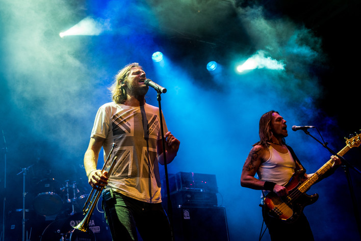 2016-08-13 - Zebrakings från Karl Oskar-dagarna, Växjö