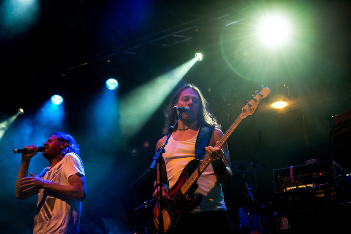2016-08-13 - Zebrakings från Karl Oskar-dagarna, Växjö