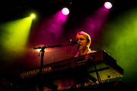 2016-08-13 - Zebrakings från Karl Oskar-dagarna, Växjö