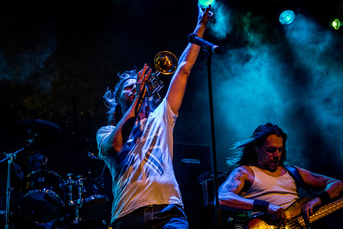 2016-08-13 - Zebrakings från Karl Oskar-dagarna, Växjö