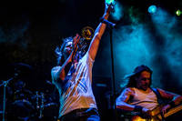 2016-08-13 - Zebrakings från Karl Oskar-dagarna, Växjö