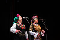 2016-08-16 - Goran Bregovic från Stockholms Kulturfestival, Stockholm