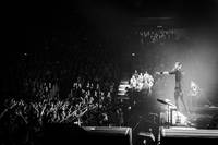 2016-11-13 - Kent från Malmö Arena, Malmö